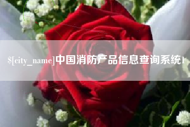 佛山中国消防产品信息查询系统1