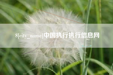 佛山中国执行执行信息网