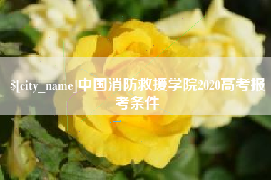 佛山中国消防救援学院2020高考报考条件