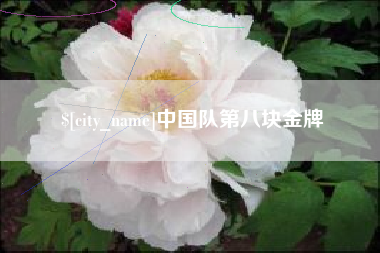 佛山中国队第八块金牌