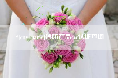 佛山消防产品ccc认证查询