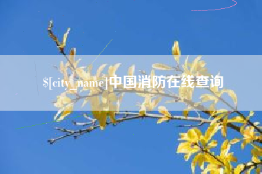 佛山中国消防在线查询