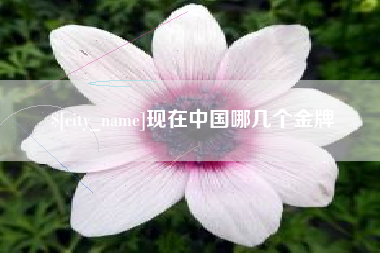 佛山现在中国哪几个金牌