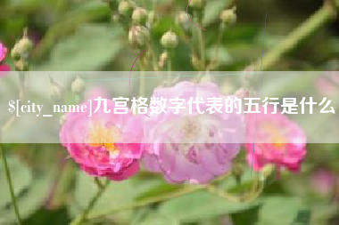 佛山九宫格数字代表的五行是什么