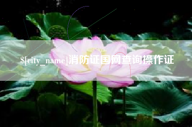 佛山消防证国网查询操作证