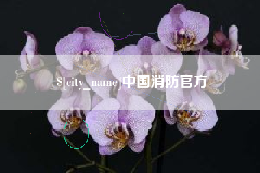 佛山中国消防官方