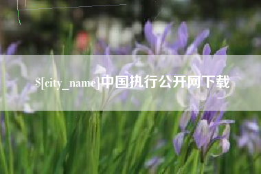 佛山中国执行公开网下载