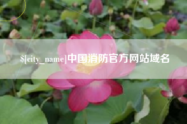 佛山中国消防官方网站域名