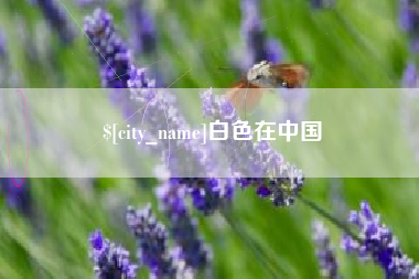 佛山白色在中国