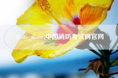 佛山中国消防考试网官网