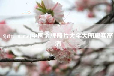 佛山中国金牌图片大全大图真实高清