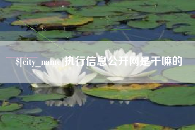 佛山执行信息公开网是干嘛的