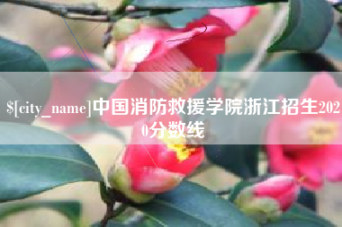 佛山中国消防救援学院浙江招生2020分数线