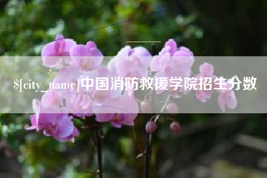 佛山中国消防救援学院招生分数