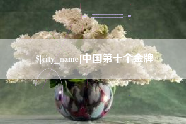 佛山中国第十个金牌