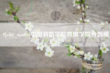 佛山中国消防学院救援学院分数线