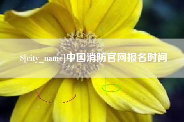 佛山中国消防官网报名时间