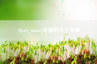 佛山中国的几个金牌