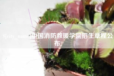 佛山中国消防救援学院招生章程公布!