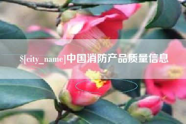佛山中国消防产品质量信息