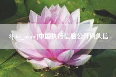 佛山中国执行信息公开网失信