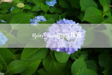 佛山2022九宫
