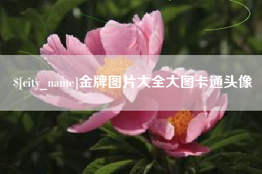 佛山金牌图片大全大图卡通头像
