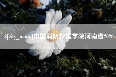 佛山中国消防救援学院河南省2020